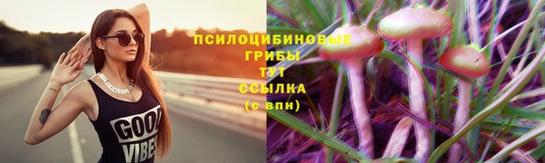 индика Армянск