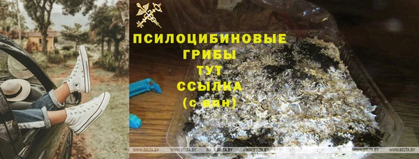 индика Армянск