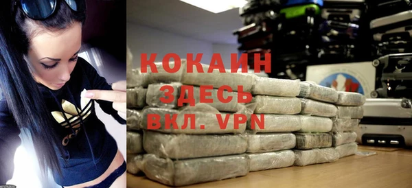 индика Армянск