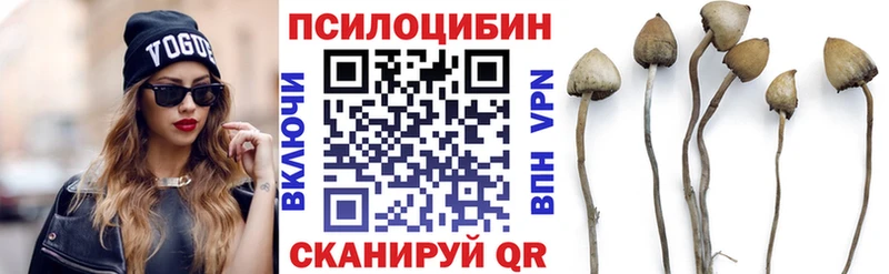 Галлюциногенные грибы мухоморы  где купить наркотик  Саки 